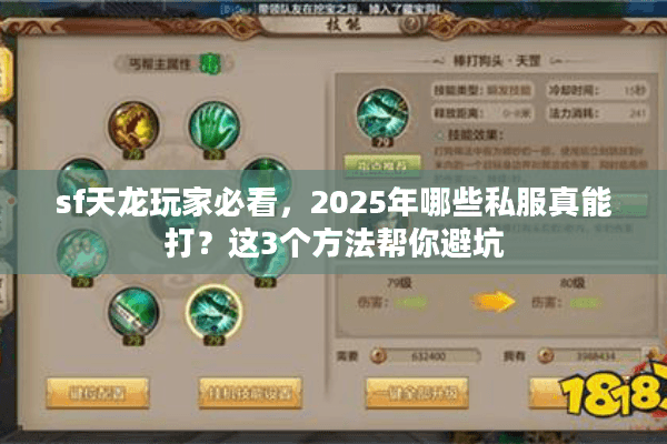 sf天龙玩家必看，2025年哪些私服真能打？这3个方法帮你避坑