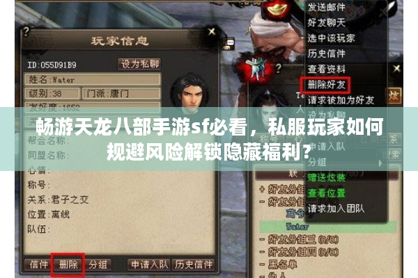 畅游天龙八部手游sf必看，私服玩家如何规避风险解锁隐藏福利？
